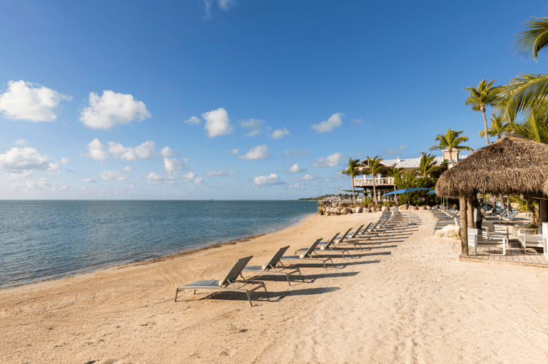 Sandy beach with lounge chairs, thatched palapas, palm trees, and calm turquoise ocean water