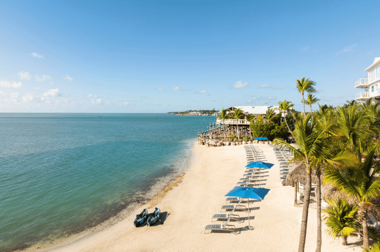 Beachfront resort with sandy shore, palm trees, blue umbrellas, lounge chairs, and turquoise ocean water
