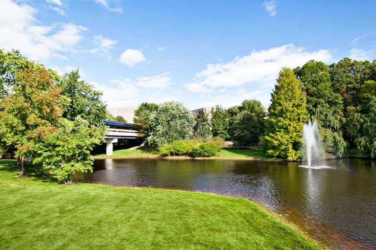 Scenic park with manicured lawn, pond, fountain, and lush trees under blue sky