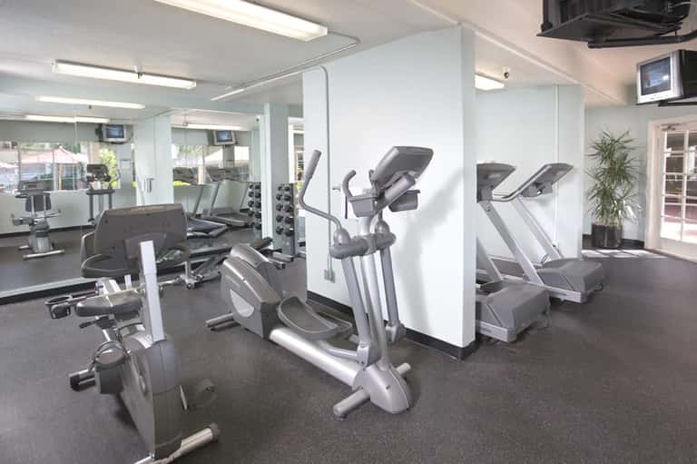 Bright fitness center with exercise bikes, ellipticals, and weight equipment