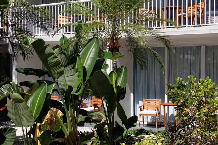 Modern resort courtyard with tropical plants, lounge chairs, and white railing architecture