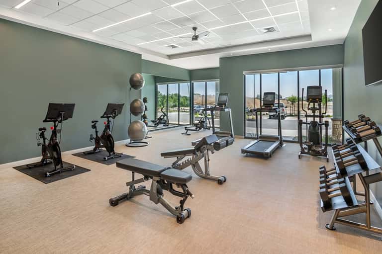 Fitness studio with green walls, exercise bikes, treadmills, dumbbells, and patio doors