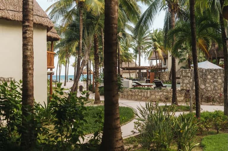 Tropical resort grounds with palm trees, white buildings, and ocean view between structures