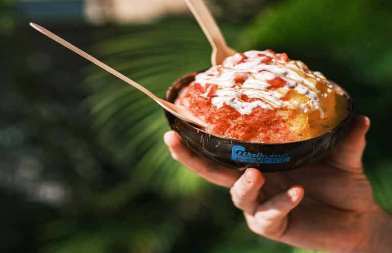 Tropical shaved ice dessert in coconut shell with red topping and spoon