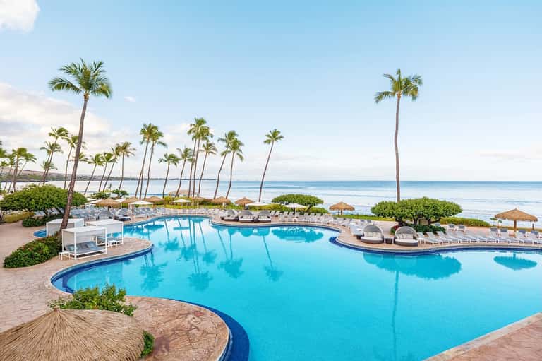 Tropical resort pool with palm trees, thatched umbrellas, white lounge chairs, and ocean backdrop