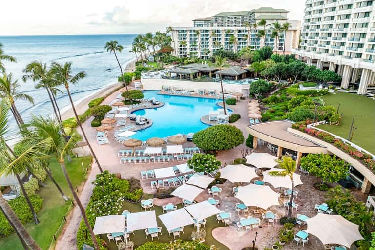 Aerial view of beachfront resort with curved pool, loungers, palm trees, and ocean access