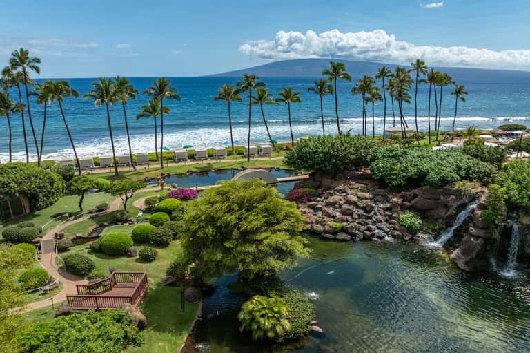 Beachfront resort with palm trees, manicured gardens, waterfall, and ocean view with distant island