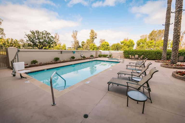 Rectangular resort pool with lounge chairs, palm trees, and landscaped perimeter