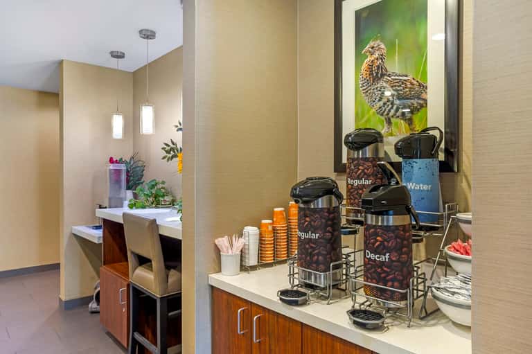 Hotel coffee station with labeled dispensers, supplies, and bird artwork on wall