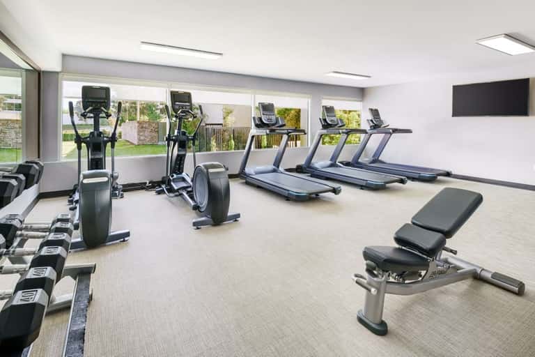 Modern fitness facility with elliptical machines, treadmills, dumbbells, and garden views