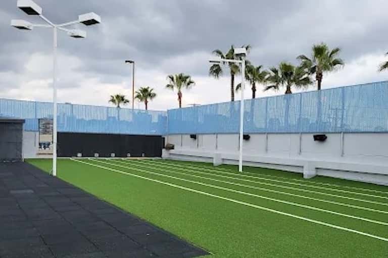 Green artificial turf sports field with blue fence, palm trees, and modern lighting