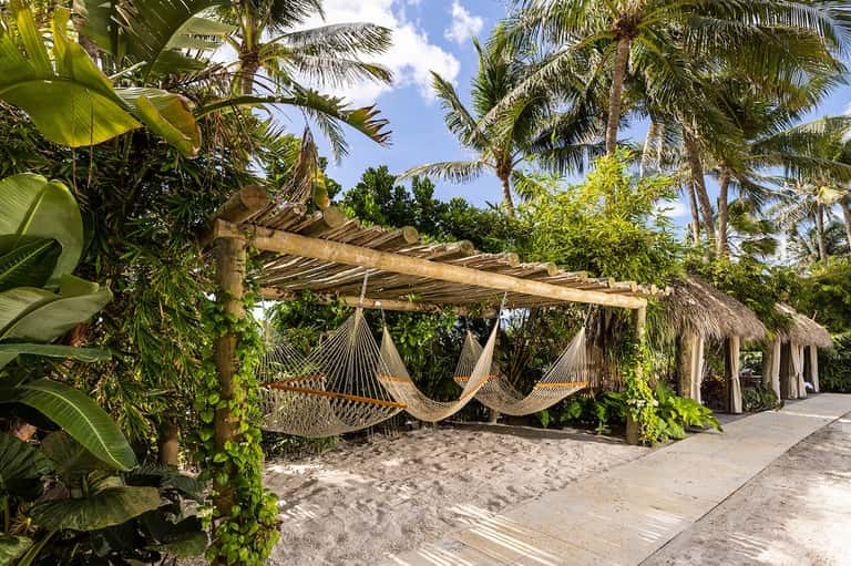 Tropical beach resort with hammocks under wooden pergola, palm trees, and thatched structures