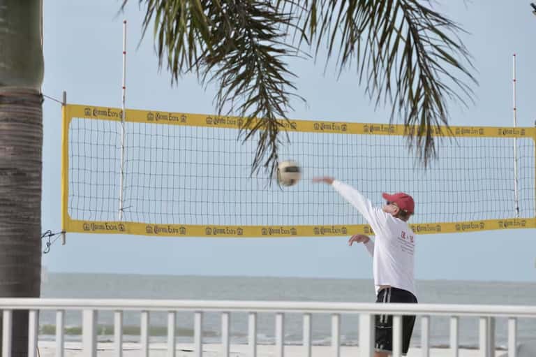 Beach volleyball player spiking ball over net with ocean, palm tree, and clear sky visible