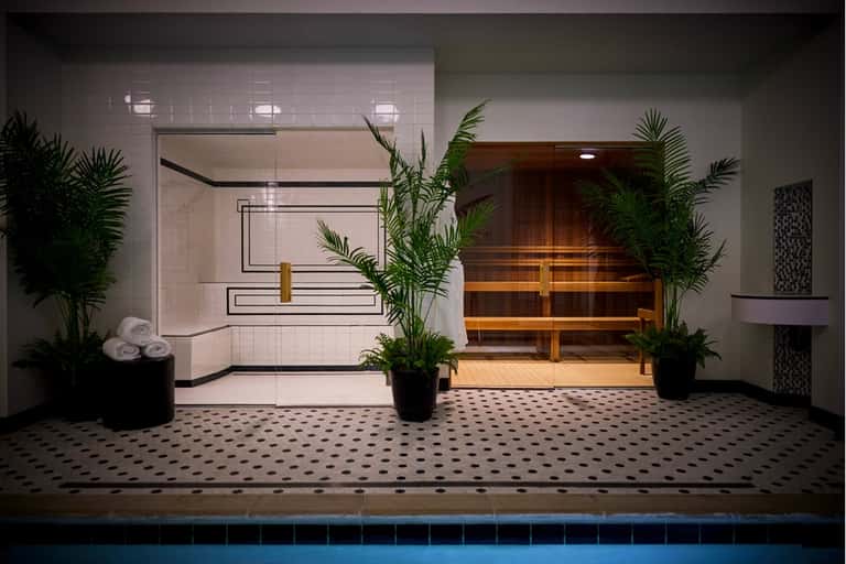 Spa area with modern shower enclosure, sauna room with wooden interior, and plant décor