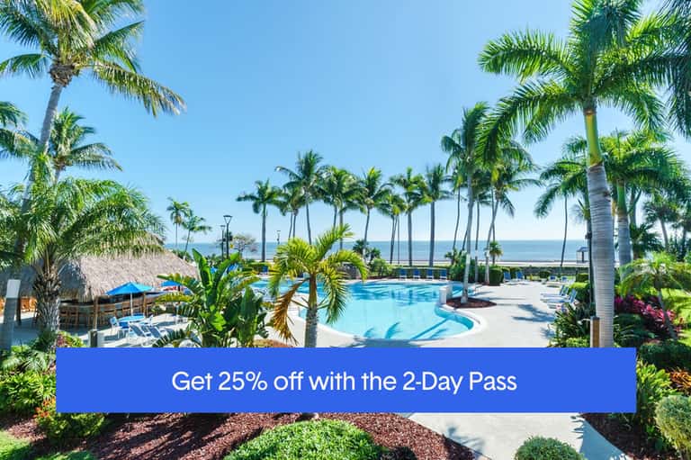 Tropical resort pool with palm trees, thatched roof, lounge chairs, and ocean horizon
