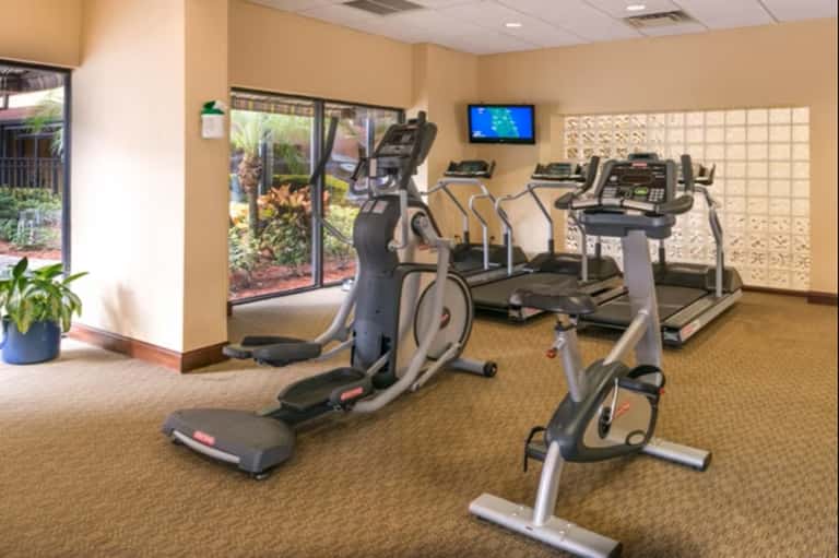 Modern fitness center with cardio equipment, elliptical machines, and glass doors overlooking tropical garden