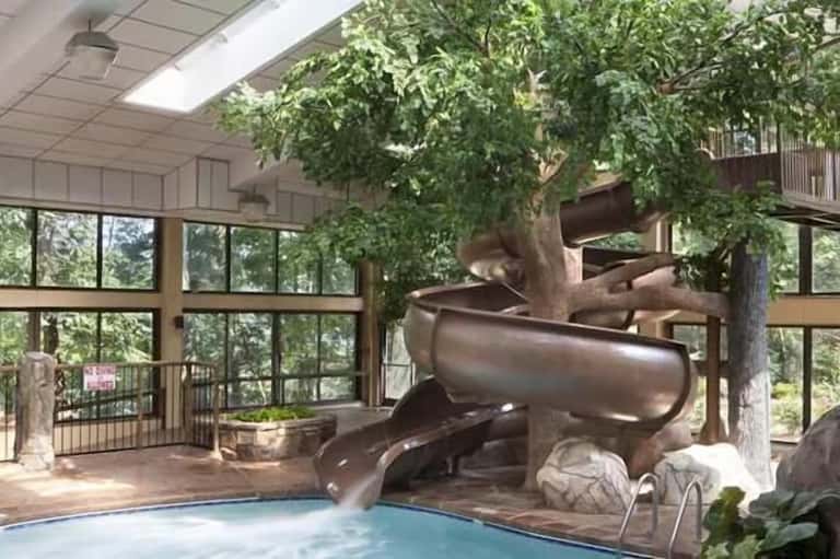 Indoor pool with live tree and metallic water slide feature and skylights