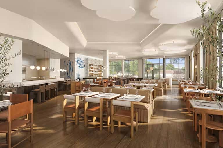 Modern restaurant with warm wood furnishings, bar counter, and large windows