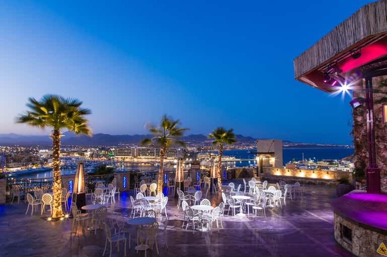 Upscale rooftop restaurant terrace at dusk with illuminated palm trees and bay cityscape views