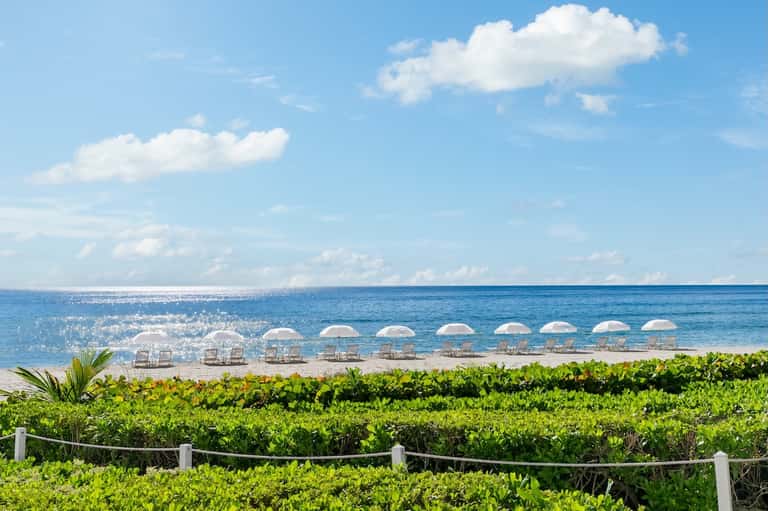 Beach setting with white umbrellas and lounge chairs along sandy shore and ocean