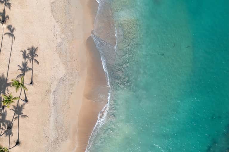 Aerial view of tropical beach with white sand, turquoise water, and palm tree shadows