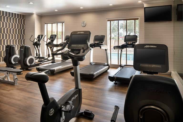 Well-equipped fitness center with treadmills, exercise bikes, dumbbells, and floor-to-ceiling windows
