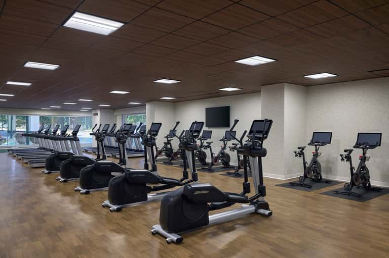 State-of-the-art fitness center with rows of cardio equipment, exercise bikes, and treadmills