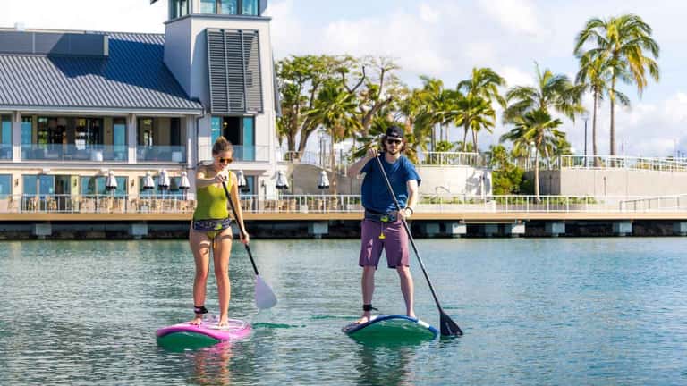 Two people paddleboarding in calm harbor waters near modern residential buildings