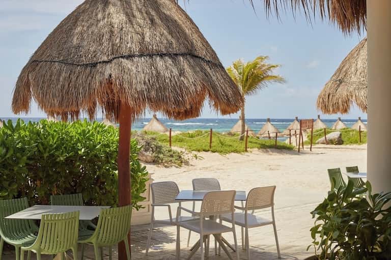 Beachfront dining area under thatched umbrella with ocean view, sand, beach vegetation, and multiple cabanas