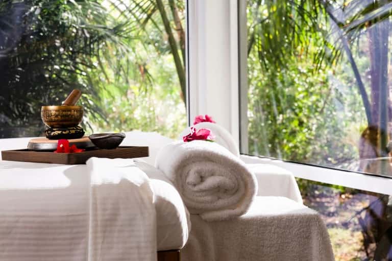 Spa setting with rolled towels, singing bowl, flowers by window with palm tree views