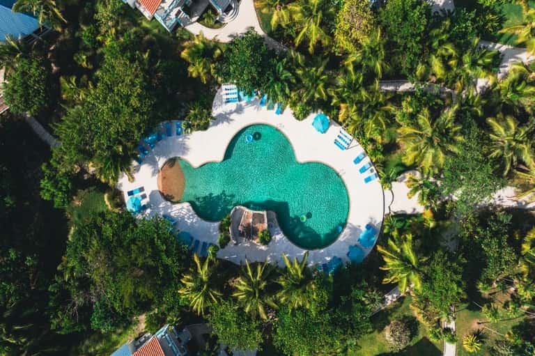 Aerial view of cloud-shaped swimming pool surrounded by palm trees and beach loungers