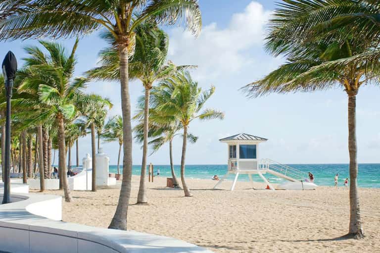 Beach promenade with palm trees, white lifeguard tower, and turquoise ocean under blue sky