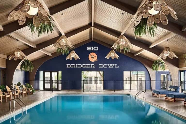 Modern indoor pool under peaked wooden ceiling with hanging botanical fixtures and navy accent wall