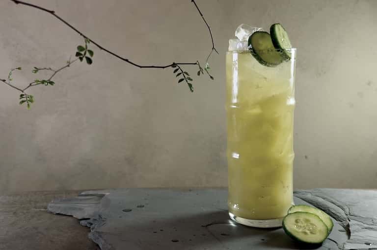 Cucumber-infused cocktail with ice in a tall glass on a concrete surface with botanical branches
