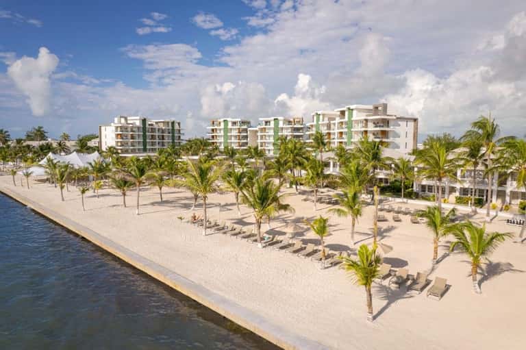Beachfront resort aerial view with white buildings, palm trees, and organized lounge chair arrangement along sandy shore