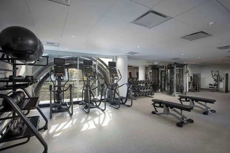 Bright fitness center with cardio equipment, weights, and floor-to-ceiling windows