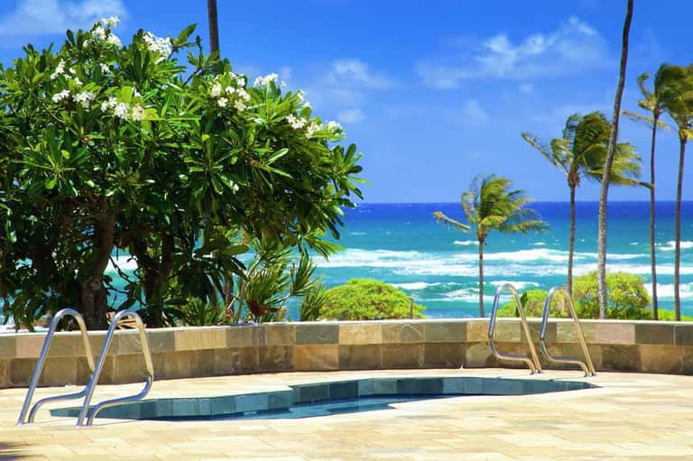 Beachfront swimming pool with tropical landscaping, palm trees, and direct ocean views with white sand beach