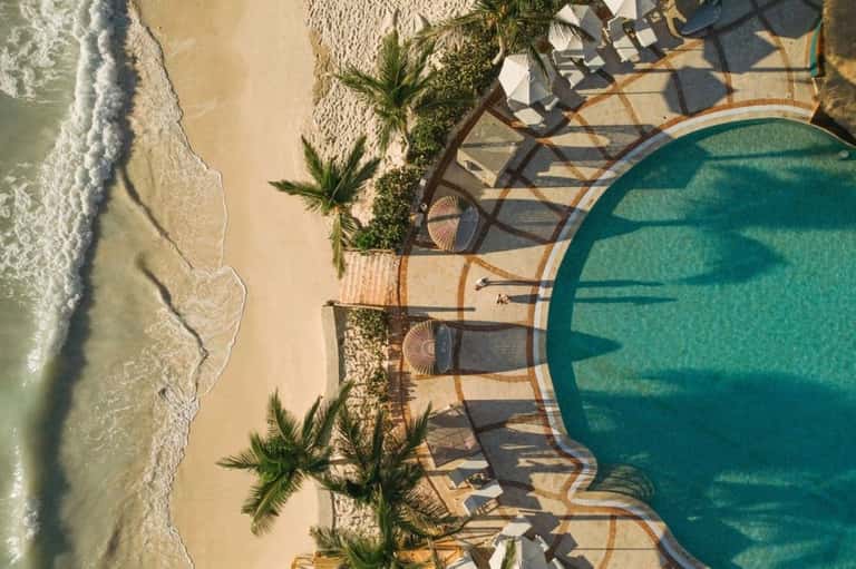 Beachfront pool with palm trees, lounge chairs, and ocean waves in background