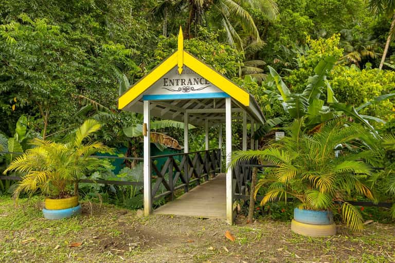 Yellow peaked entrance pavilion with decorative railings, potted plants, and dense tropical forest backdrop