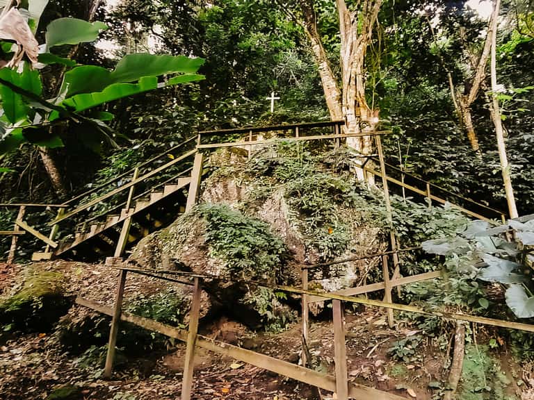 Wooden boardwalk pathway winding through dense tropical forest with railings on both sides