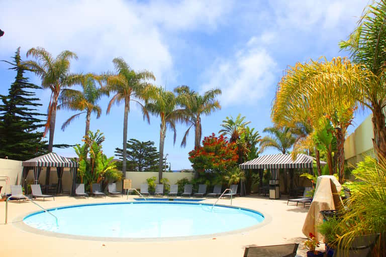 Resort pool area surrounded by palm trees, lounge chairs, and striped umbrellas under blue sky