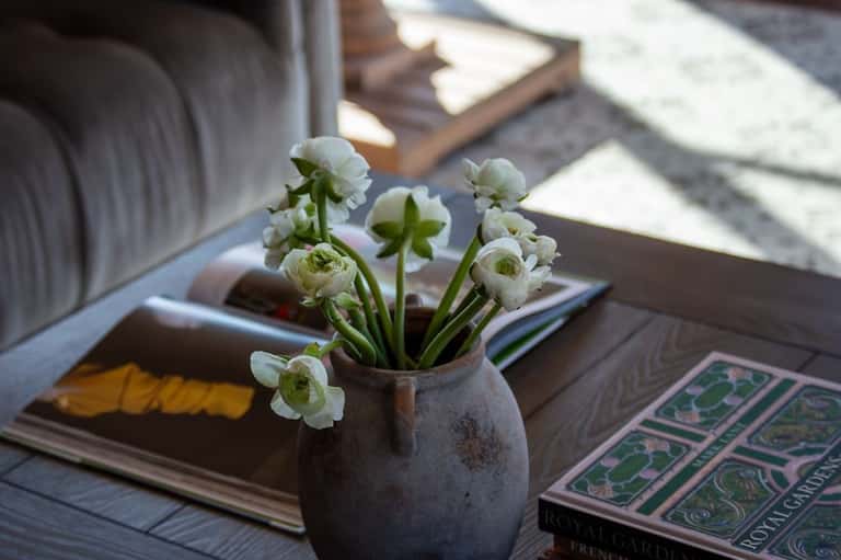 Close-up of white flowers in rustic pot on wooden table with books and sunny shadows