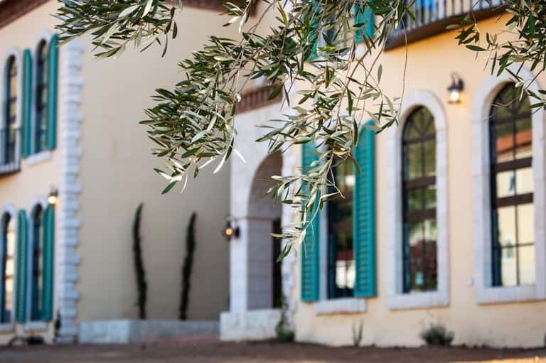 Olive tree branches framing terracotta colonial-style building with turquoise shutters and arched windows