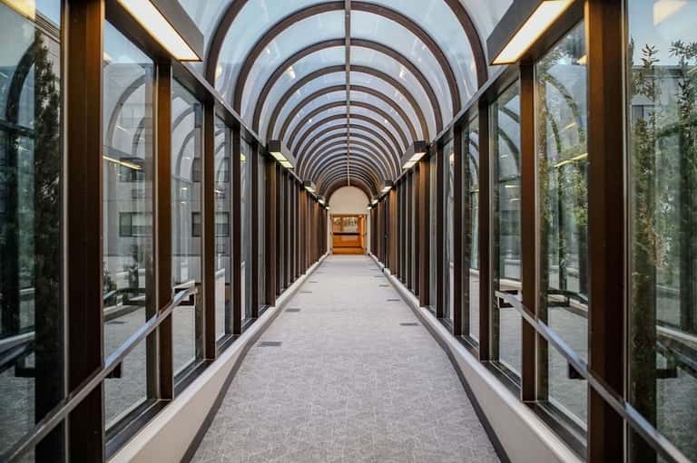 Long corridor with arched glass ceiling, wooden railings, and climbing ivy plants on sides