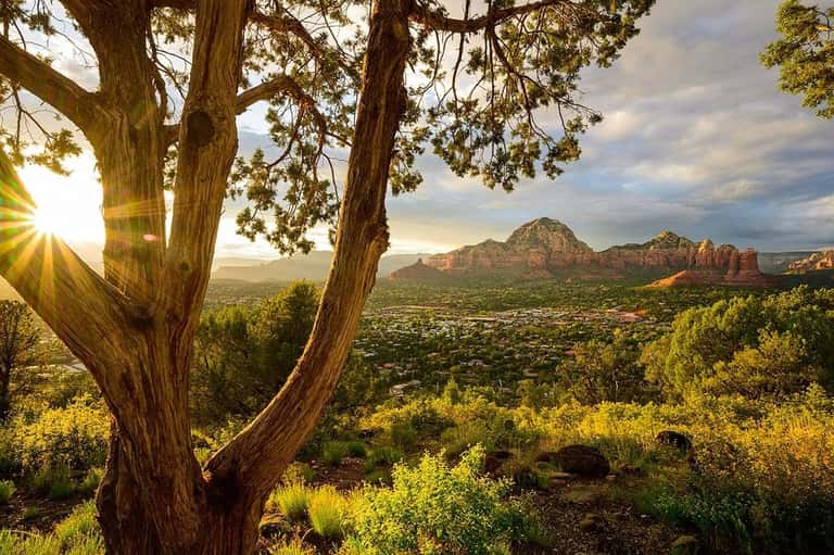 Sunset view through gnarled tree branches overlooking Sedona valley and red rock formations