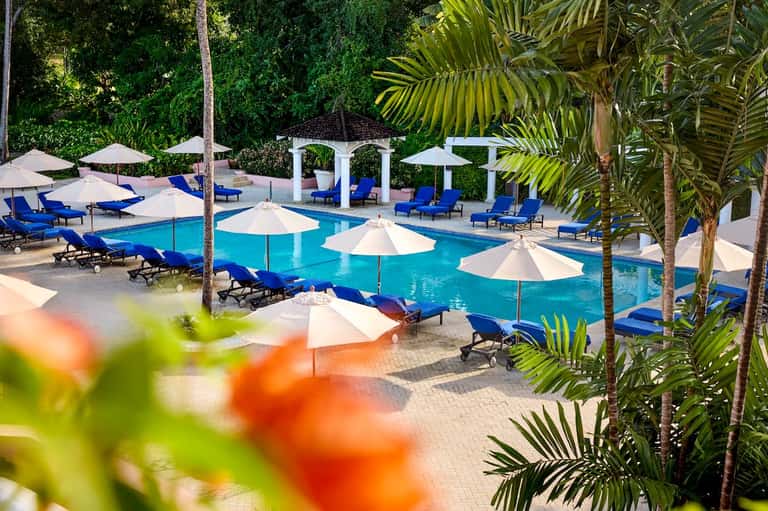 Resort pool surrounded by white umbrellas, blue lounge chairs, palm trees, and lush tropical landscaping