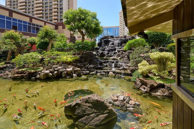 Koi pond with waterfall, rocks, lush greenery, and tall buildings in background at resort courtyard
