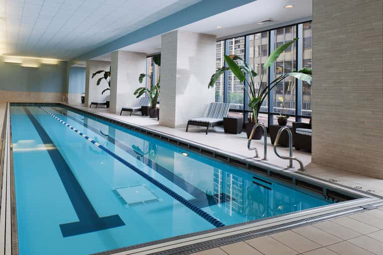 Indoor lap pool with lane markings, large windows, brick walls, and lounge seating with potted plants.