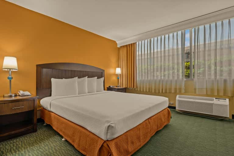 Hotel bedroom with golden-orange accent wall, wood-framed bed, large windows with sheer curtains, and green carpeting