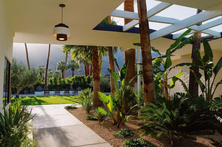 Covered patio with palm trees, concrete pathway, and mountain views in background